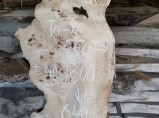 Слэбы из дуба, бука, ясеня, тополя, вербы, карагача. / Волгоград